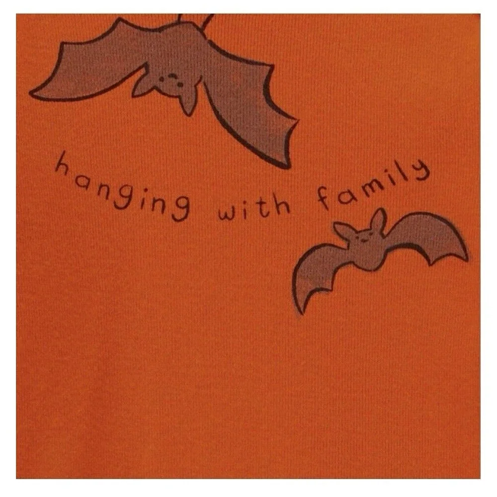 Carters Infant Boys Orange Bat Halloween Bodysuit & Stripe Pants Set Size 3Month